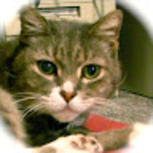 Meet your Posher, Keith